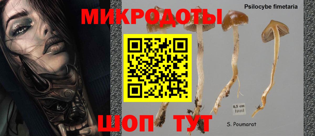 Галлюциногенные грибы GOLDEN TEACHER Краснознаменск