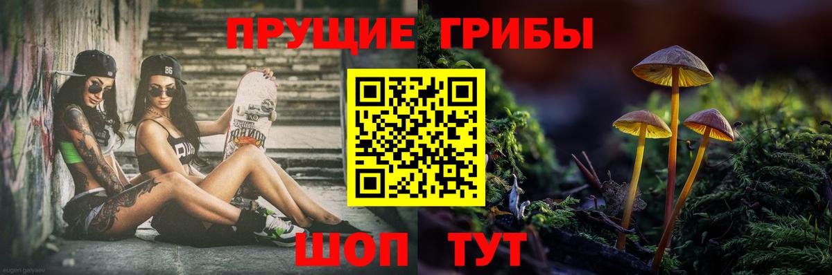 Галлюциногенные грибы ЛСД  Вход с VPN  Краснознаменск 